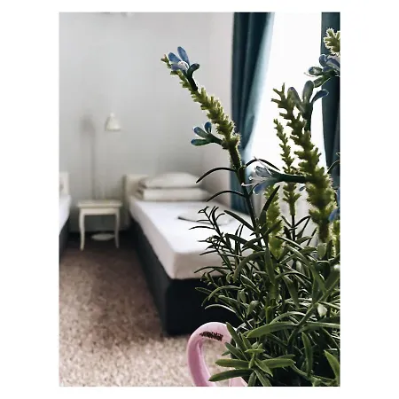 Pastel Guest